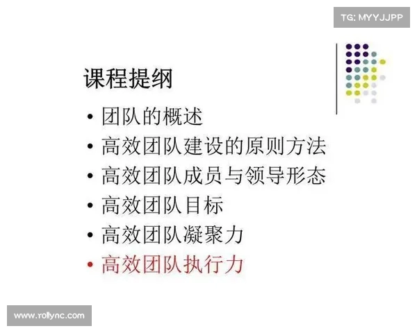 核心战术驱动下的团队协作与战略执行模式探讨 核心战术驱动下的团队协作与战略执行模式探讨
